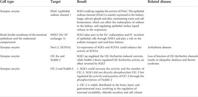 Contributions of SGK3 to transporter-related diseases